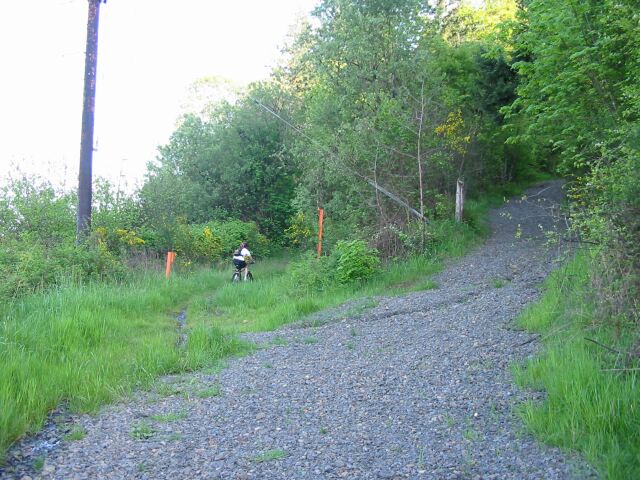 forest park mountain bike trails